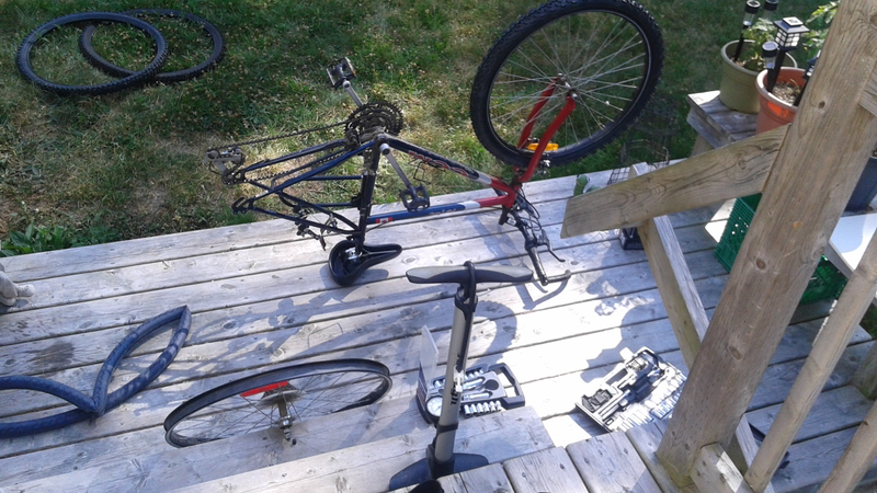 Illustration for article titled Bike Oppo! Also, HOLY CRAP I AM OUT OF SHAPE.